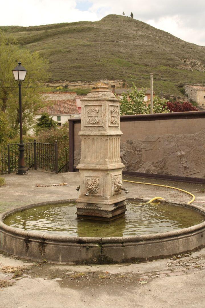 Fotografía de la galería de imágenes con id: 829
